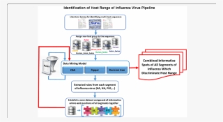 The Pipeline Of Identification Influenza Host Ranges #6558031