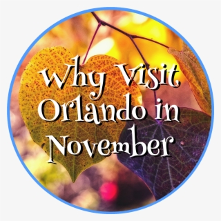 November Png #6559111