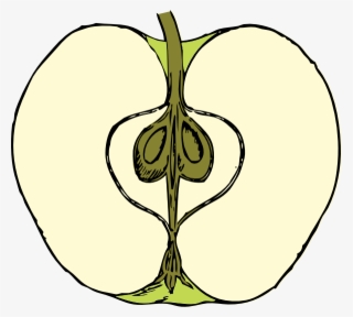 Apple Clip Art At Clker #6559181