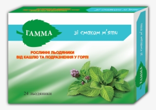 Peppermint Png #6561125
