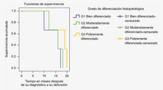 Supervivencia A 60 Meses De Pacientes Con Cáncer De #6561849