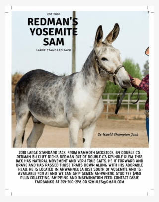 Newsletter Oct2018 05-min #6561971