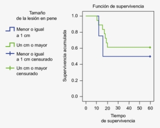 Supervivencia De Pacientes Con Cáncer De Pene Según #6562350