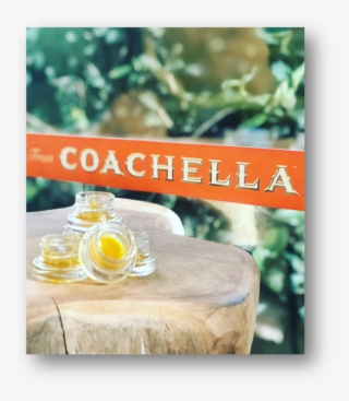“coachella™ Premium Brand Products Is The First And #6566917