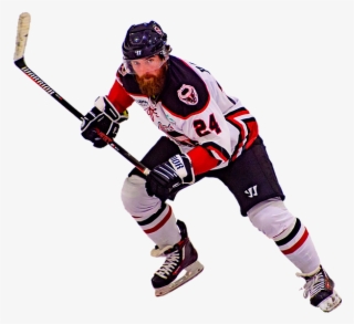 Birmingham Bulls, Birmingham Hockey, Bulls Hockey, #6568326