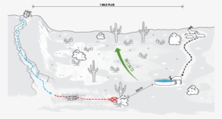 New Mexico Is Full Of Beautiful Pine Forests That Hold #6568829