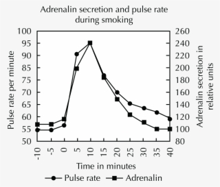 Smoking Directly Causes An Increase In The Basal Metabolic #6570275