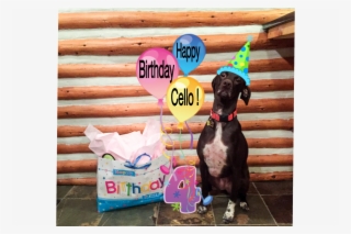 Bday #6572973