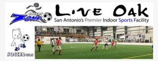 Live Oak Png #6575315