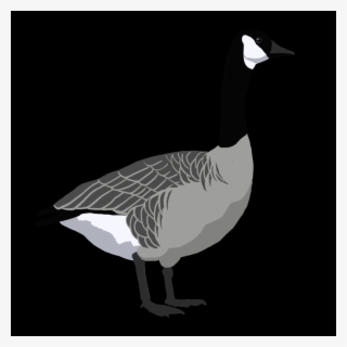 Geese Png #6579557