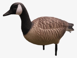 Eva Plastic Goose Decoys #6579682