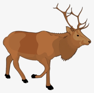 Free Png Moose Png Images Transparent #6580827