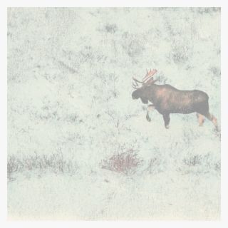 Home About Video Gallery Climate #6581393