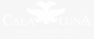 January 27th 2018 Tamarindo Art Wave #6581676