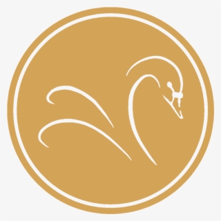 Black Swan Png #6582344 Black Swan Png #6582344