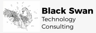 Black Swan Technology Consulting #6582544