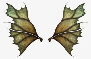 Realistic Fairy Wings Png #6582733 Realistic Fairy Wings Png #6582733