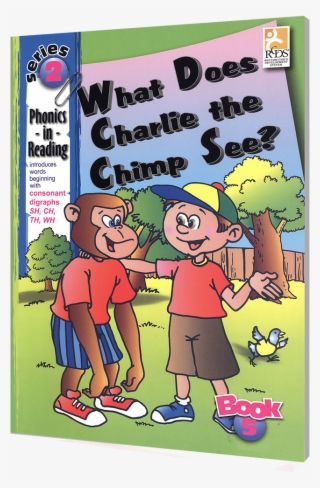 Picture Of Phonics In Reading Series #6585491