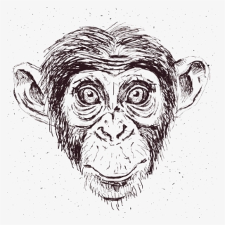 Chimp #6585617