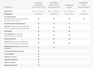 Feature Comparison With Sandblast Agent Products #6585768