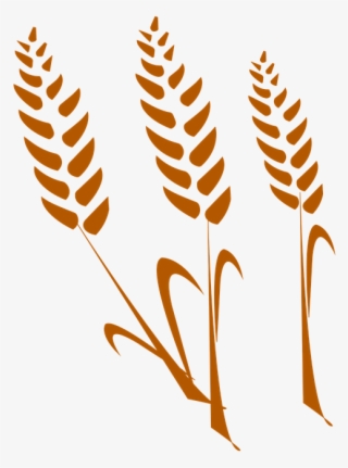 Desenho De Trigo Png #6587494