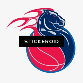 Detroit Pistons Basketball #6588421