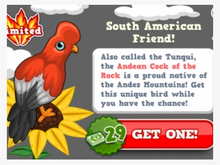 South America Clipart Jungle Bird #6588928