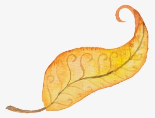 Autumn Transparent Decorative #6593511