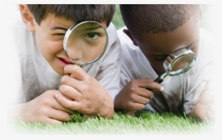 Search And Sort Nys Standards Quicker And Easier Than #6595914