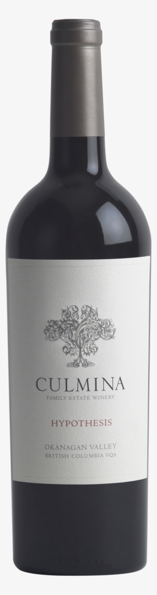 Hypothesis Nv Hi Res Png #6596347