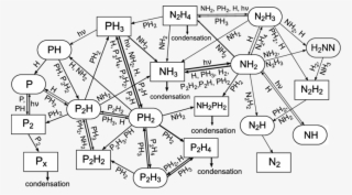 14 Schematic Diagram Illustrating The Important Reaction #6596666