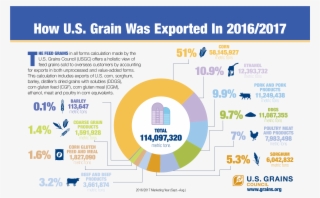 How Us Grain Was Exported In 2016-2017 #6598863