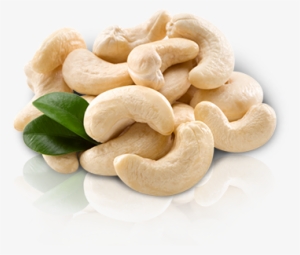 Roasted Cashew Nuts - Broad Bean #660126