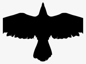 Crow Png Transparent Images - Crow Png #660628