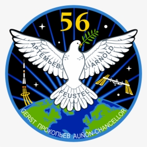 Health, Physics Research During Preps For Spacewalk - Expedition 56 Patch #661304