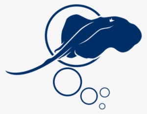 Separator - Native Diving Lanzarote #661865 Separator - Native Diving Lanzarote #661865