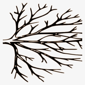 Tree Clipart Outline Cupcake Clipart Hatenylo - Tree Clipart Black And White #662505