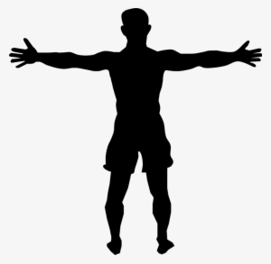 Scarecrow The Tin Man The Wonderful Wizard Of Oz The - Wizard Of Oz Scarecrow Silhouette #663095