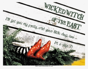 Wizard Of Oz Size 7 Women's T-shirt #663520