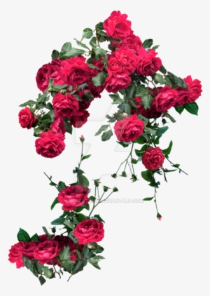 Rose Vines Png - Rose And Vines Transparent #664321