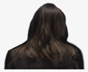 View Case Study - Lace Wig #664623