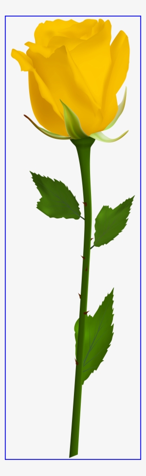 Appealing Rose Vine Border Clip Art Clipart Panda Pic - Single White Rose Png #665219