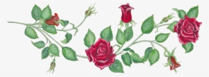 Photo Rosevine - Clip Art Rose Vines #665323