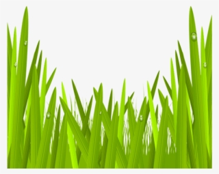 Green Grass Png Clip Art Image Gallery - Green Grass Clipart Transparent #665440