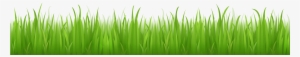 Green Grass Png Image Background - Grass With No Background #665471