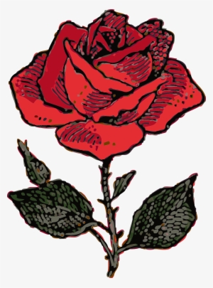 Pictures Of Roses With Vines - Coat Of Arms Rose #665499
