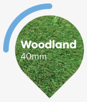 Woodland-artificial Grass - Portable Network Graphics #666241