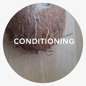 Conditioning Title - Title #668200