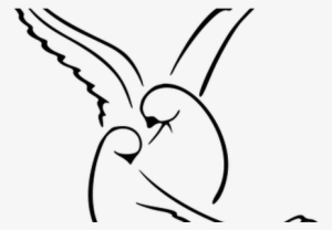 Lovebirds Drawing Couple - Drawing Of Dove Bird #668358