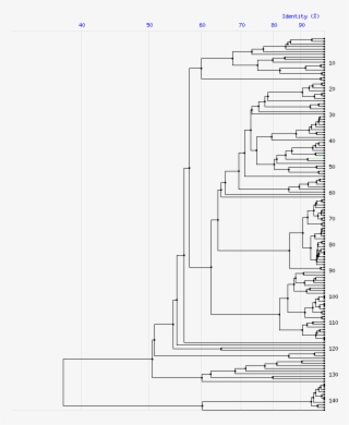 Tree For Family M4 #6601237 Tree For Family M4 #6601237